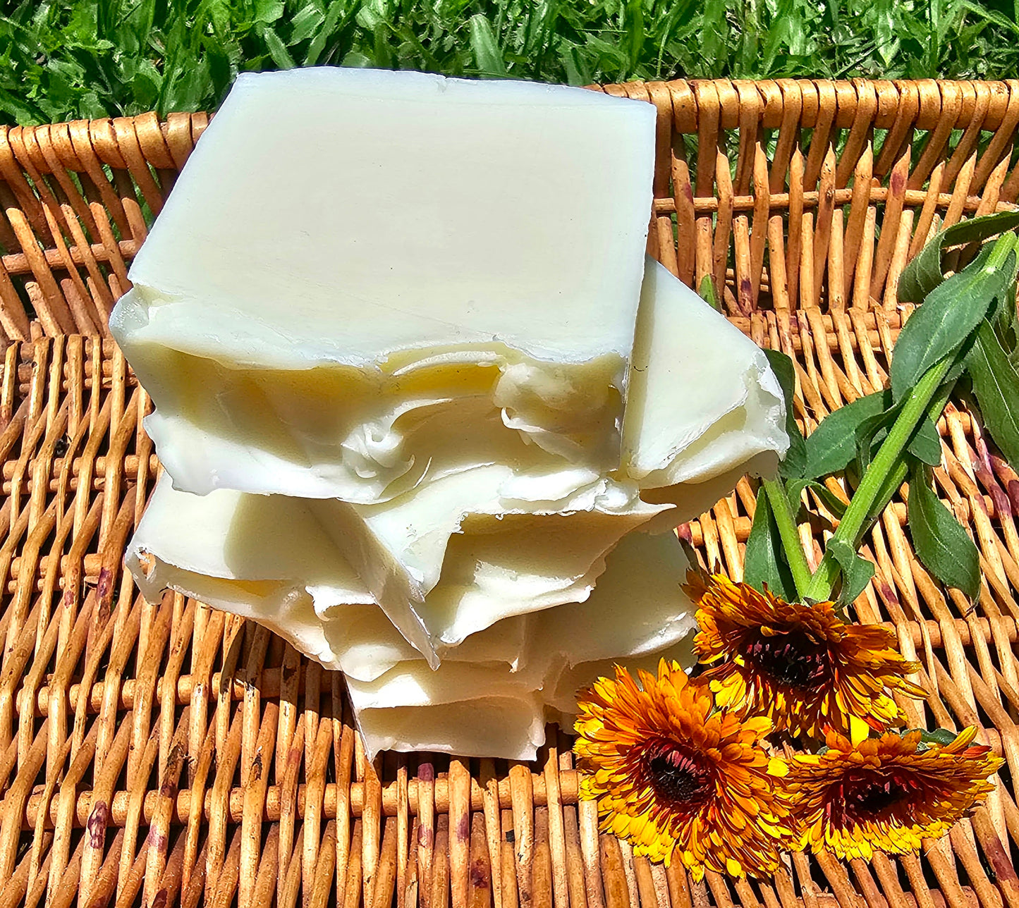 Unscented Tallow Soap