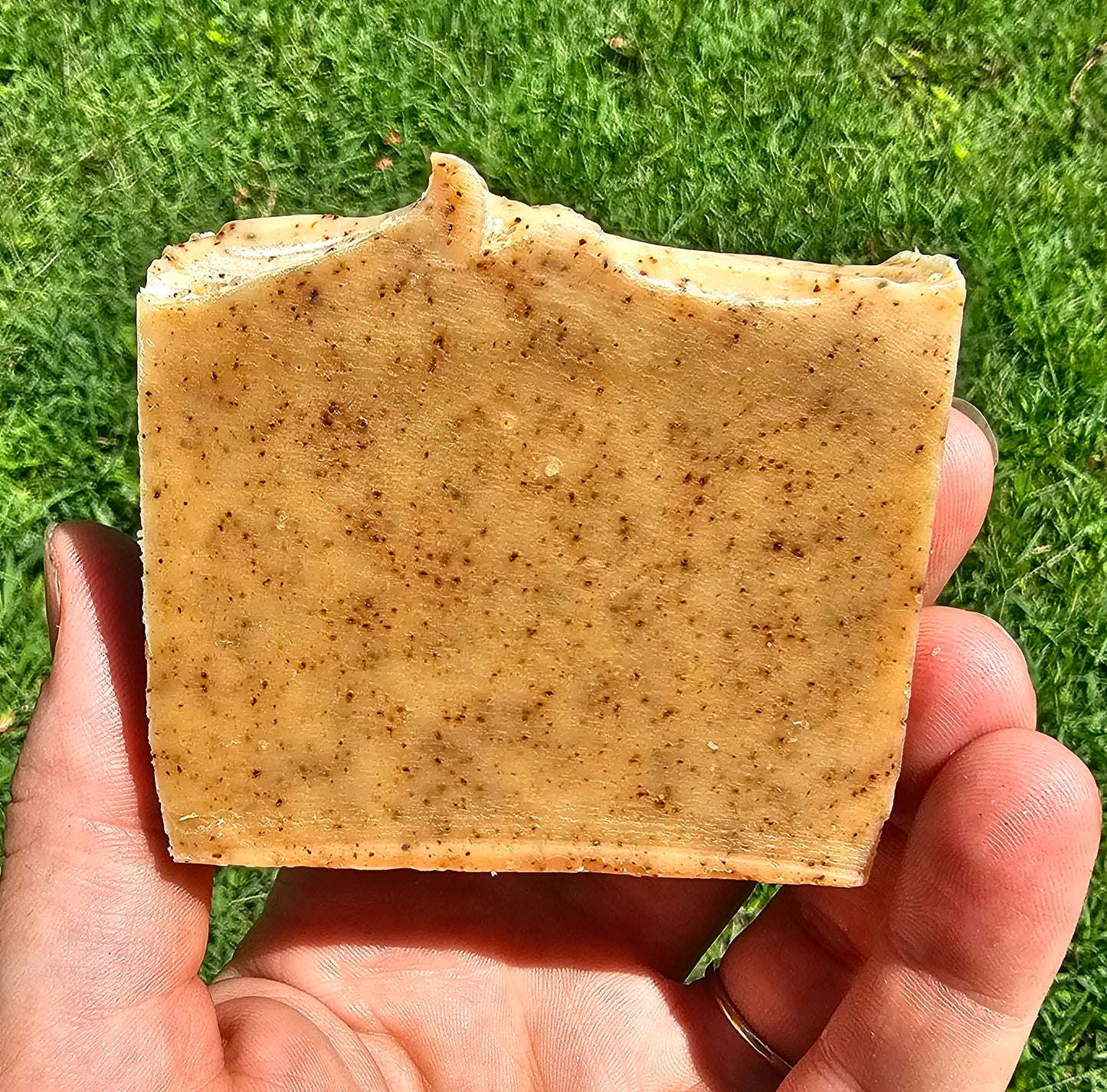 Exfoliating Coffee Infused Tallow Soap with Spearmint