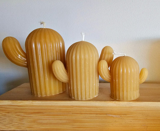Cacti Trio - 100% Beeswax Candles