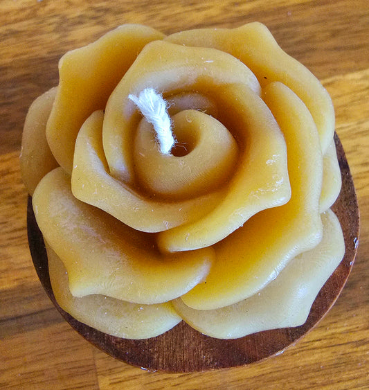 Beeswax Rose with wooden holder