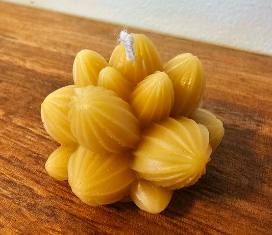 Mini Cactus - 100% Beeswax Candle